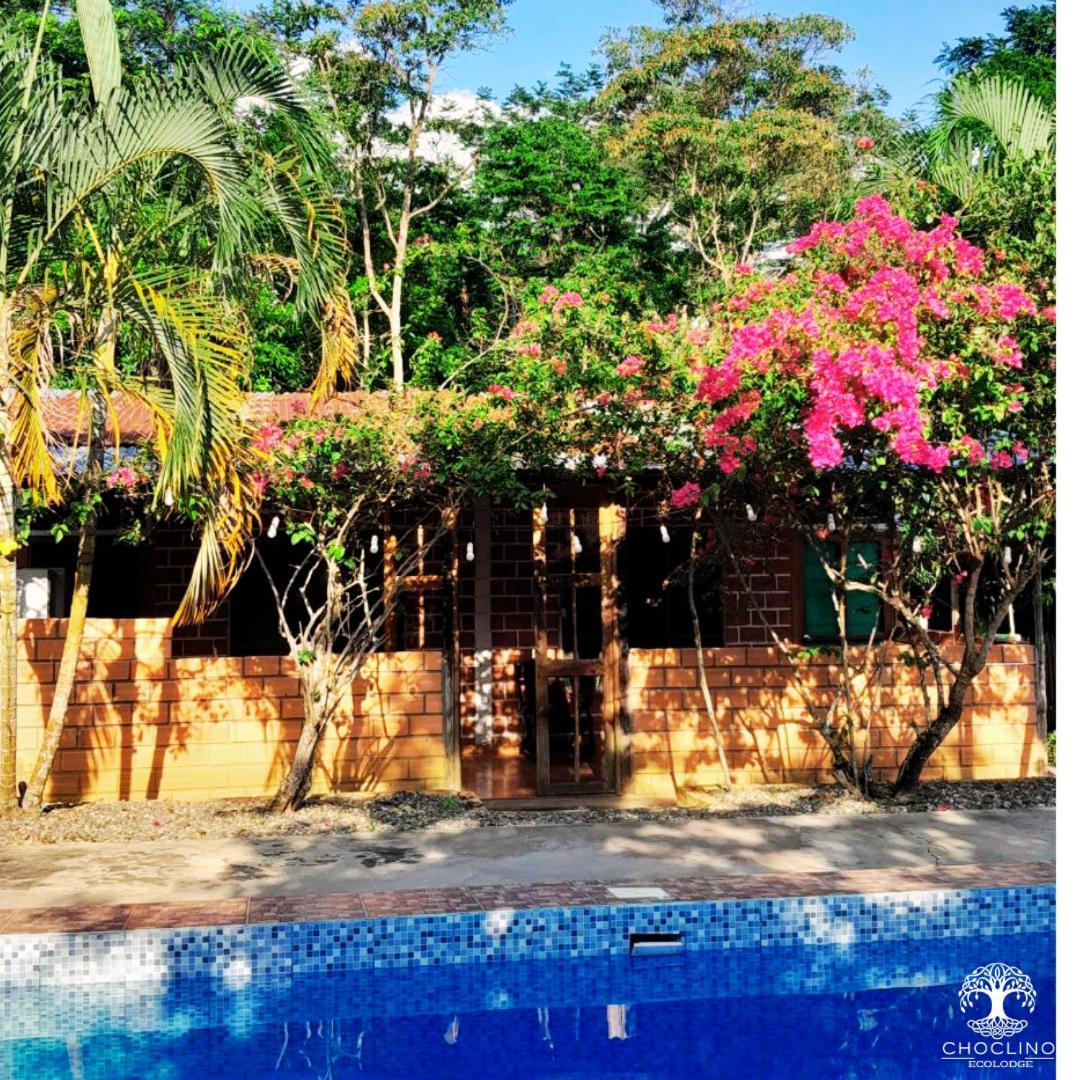 Choclino Ecolodge -Bungalows Тарапото Екстериор снимка