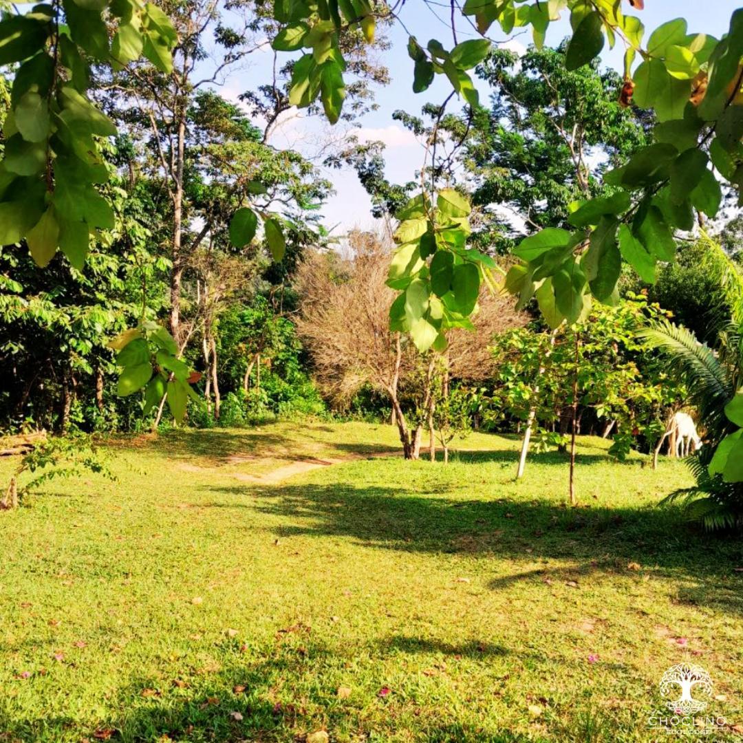 Choclino Ecolodge -Bungalows Тарапото Екстериор снимка