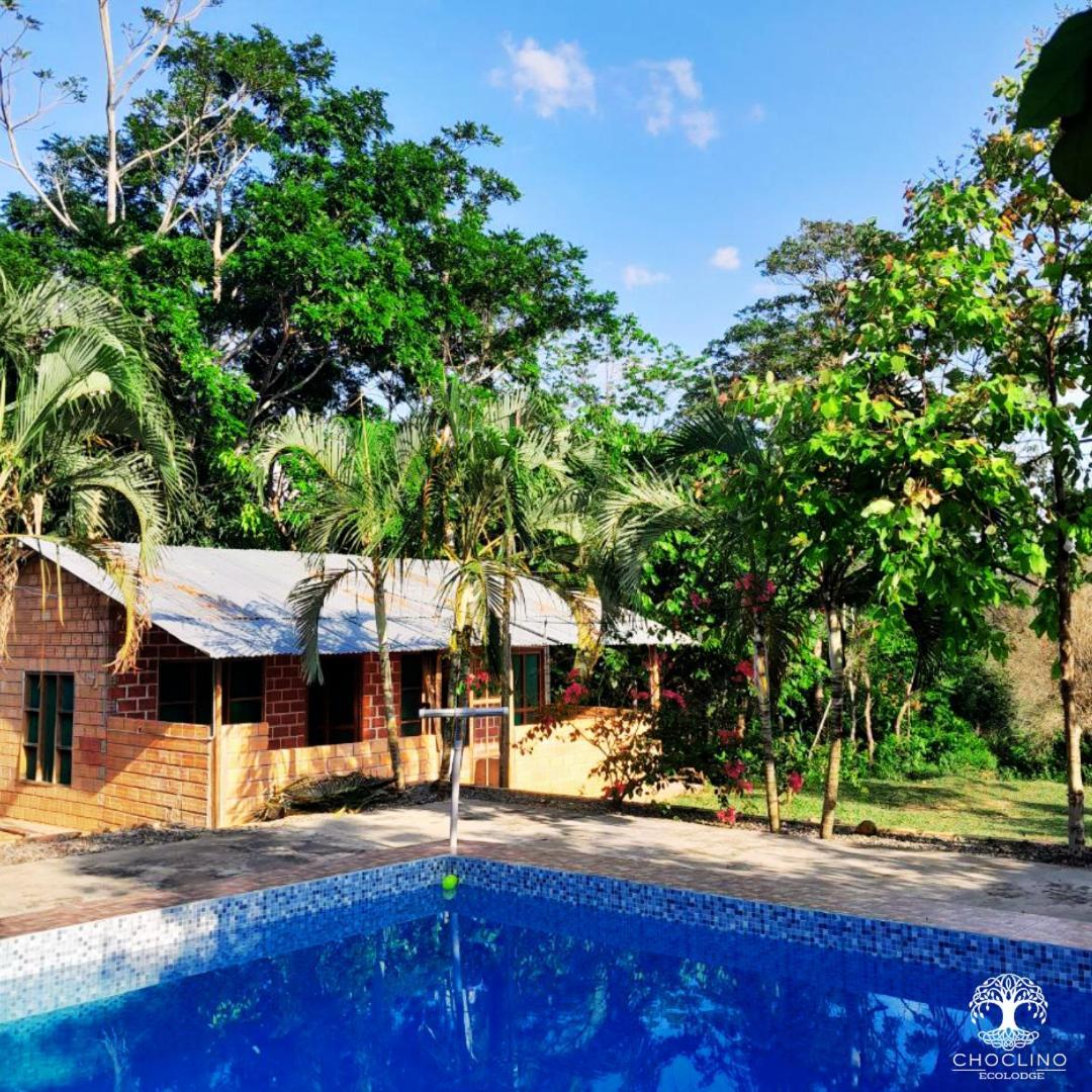 Choclino Ecolodge -Bungalows Тарапото Екстериор снимка