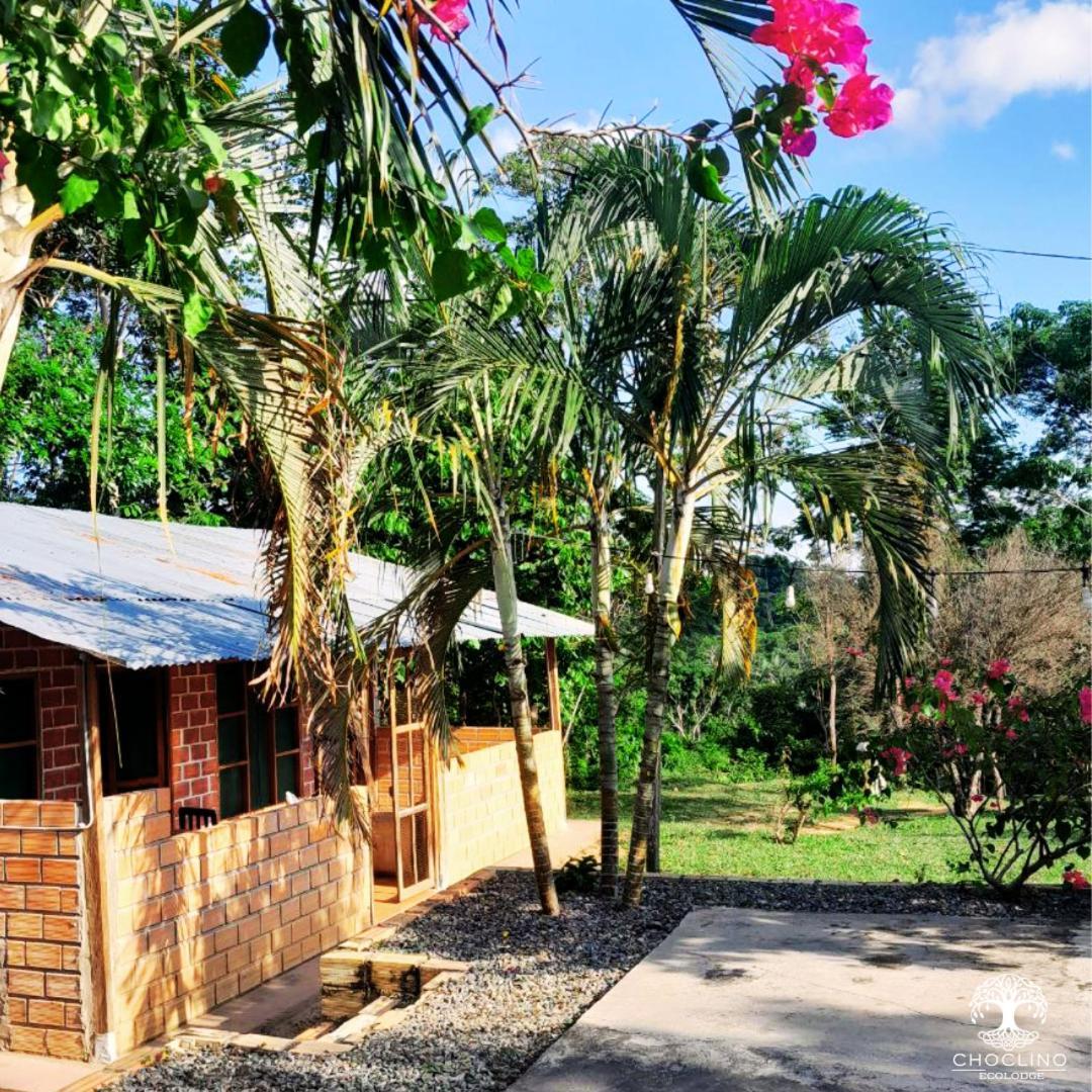 Choclino Ecolodge -Bungalows Тарапото Екстериор снимка